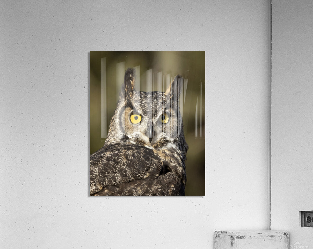 2335586 :: Acrylic Print