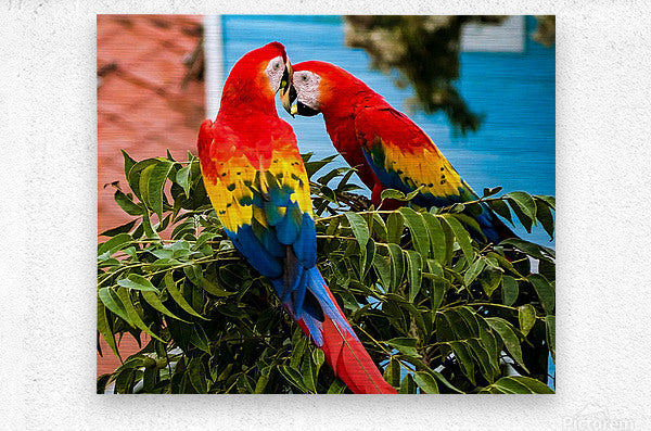 2335583 :: Brushed Metal Print