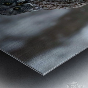 2335587 :: Brushed Metal Print
