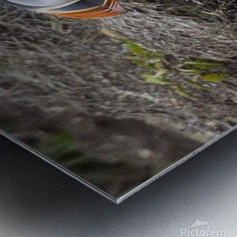 2335606 :: Brushed Metal Print