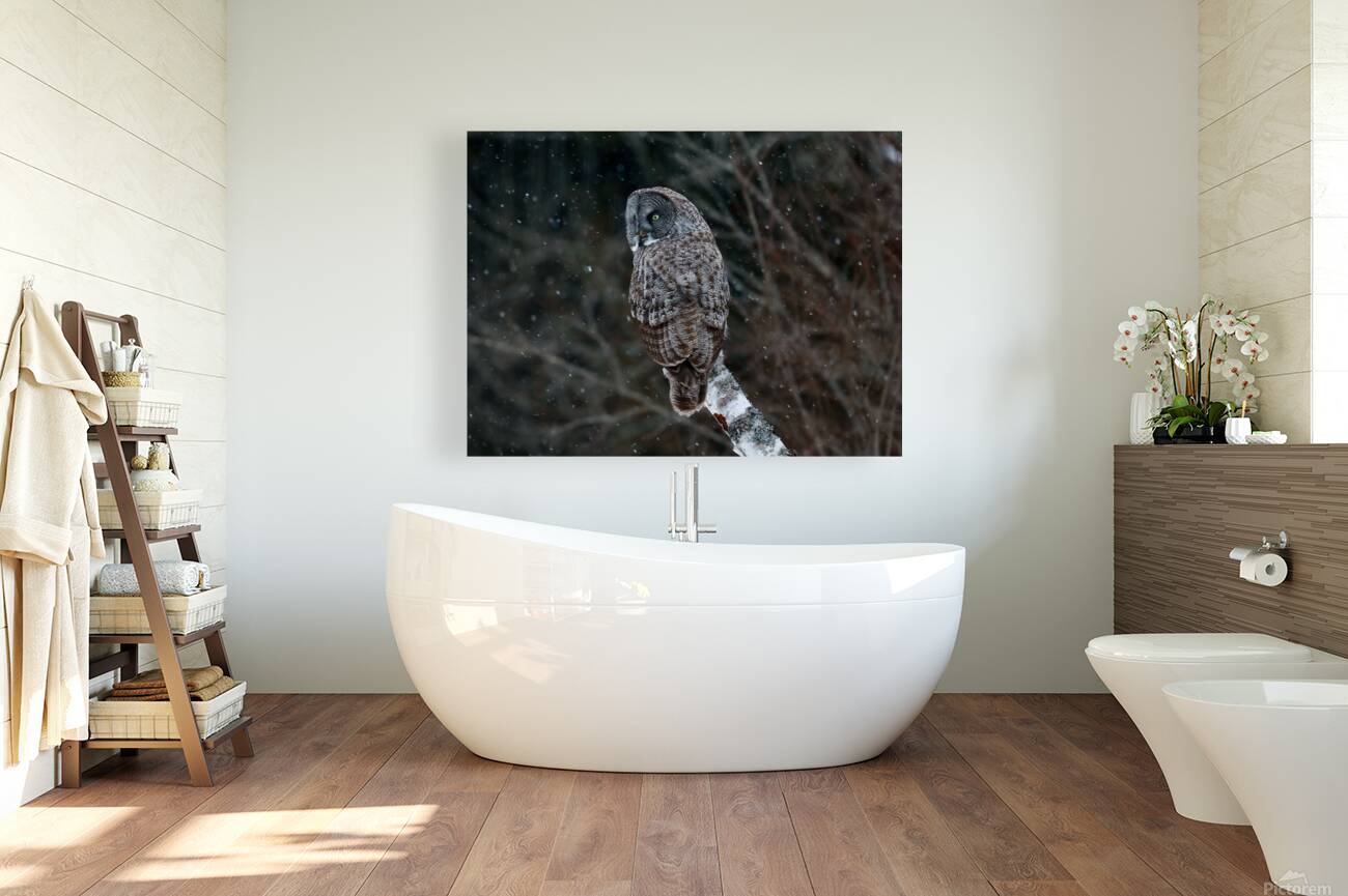 2335585 :: Giclée Stretched Canvas Print