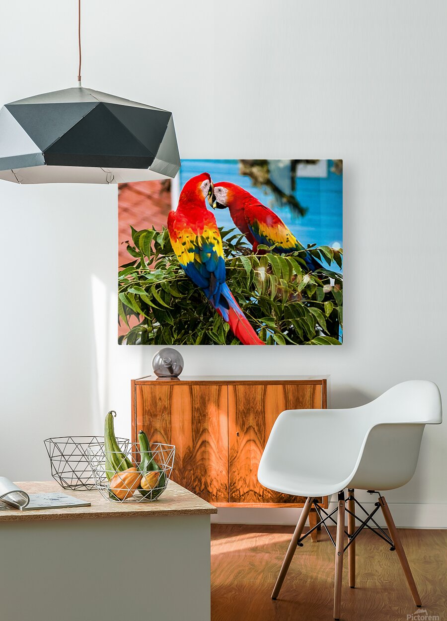 2335583 :: HD Sublimation Metal Print