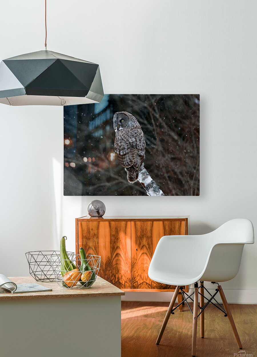 2335585 :: HD Sublimation Metal Print