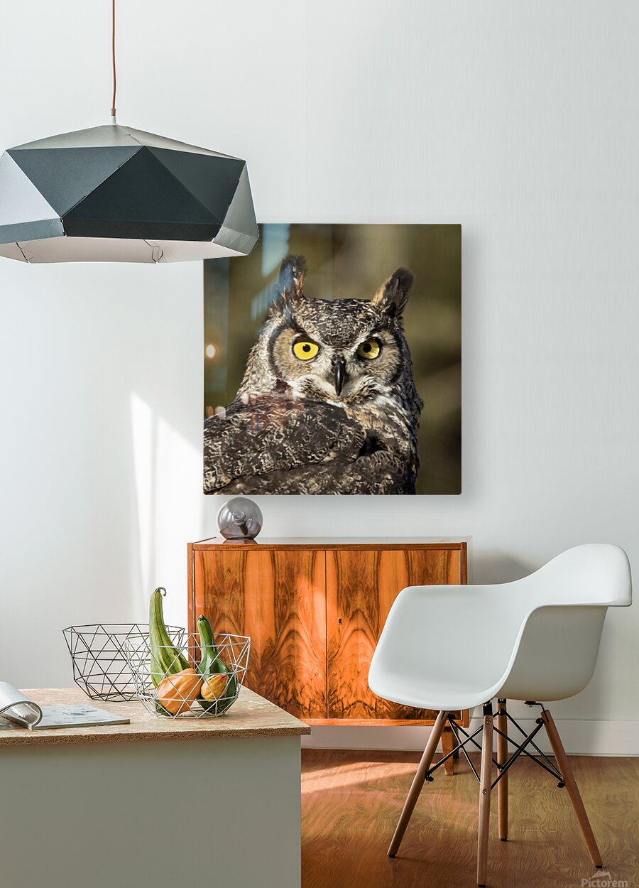 2335586 :: HD Sublimation Metal Print