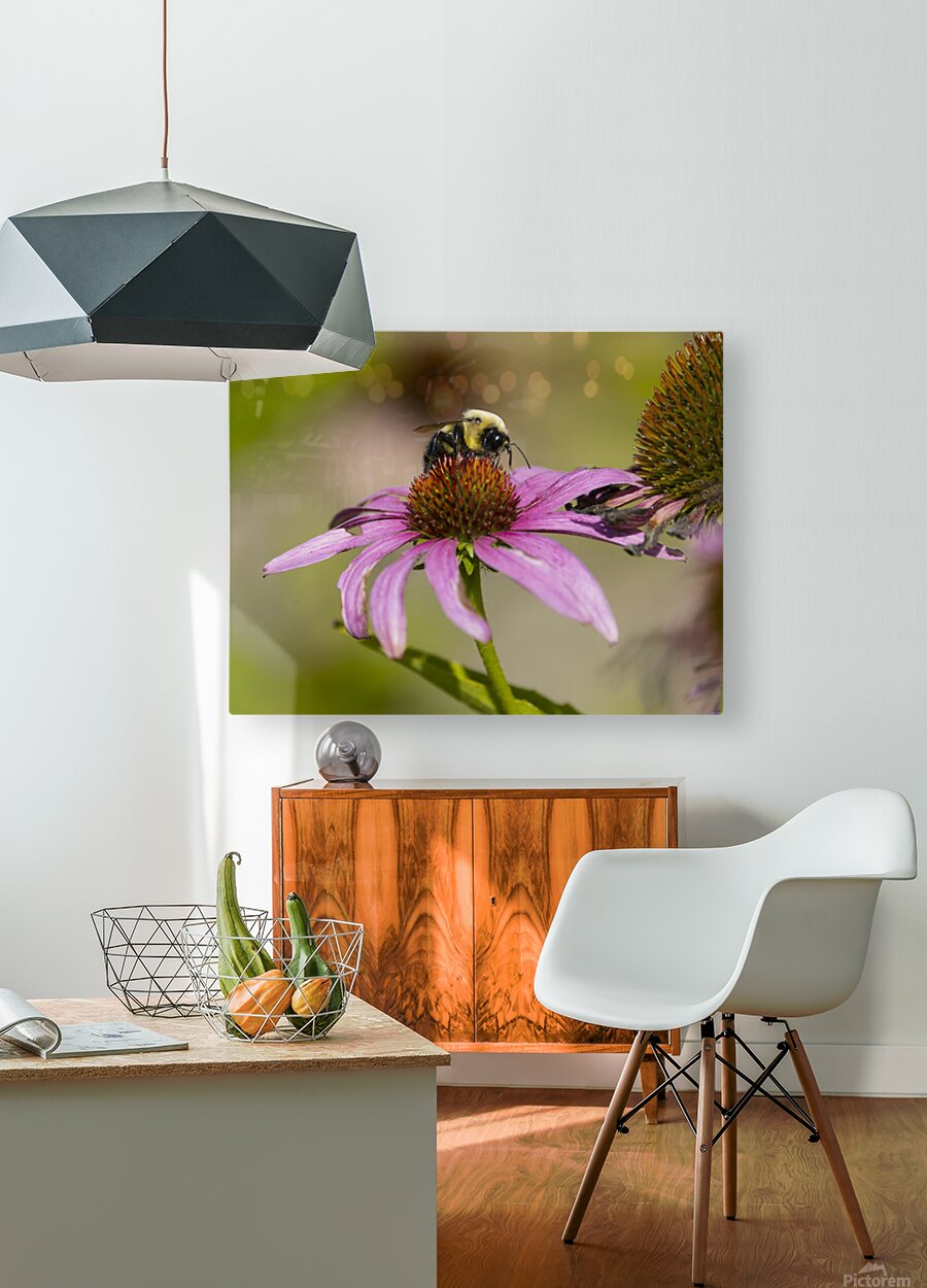 2335608 :: HD Sublimation Metal Print