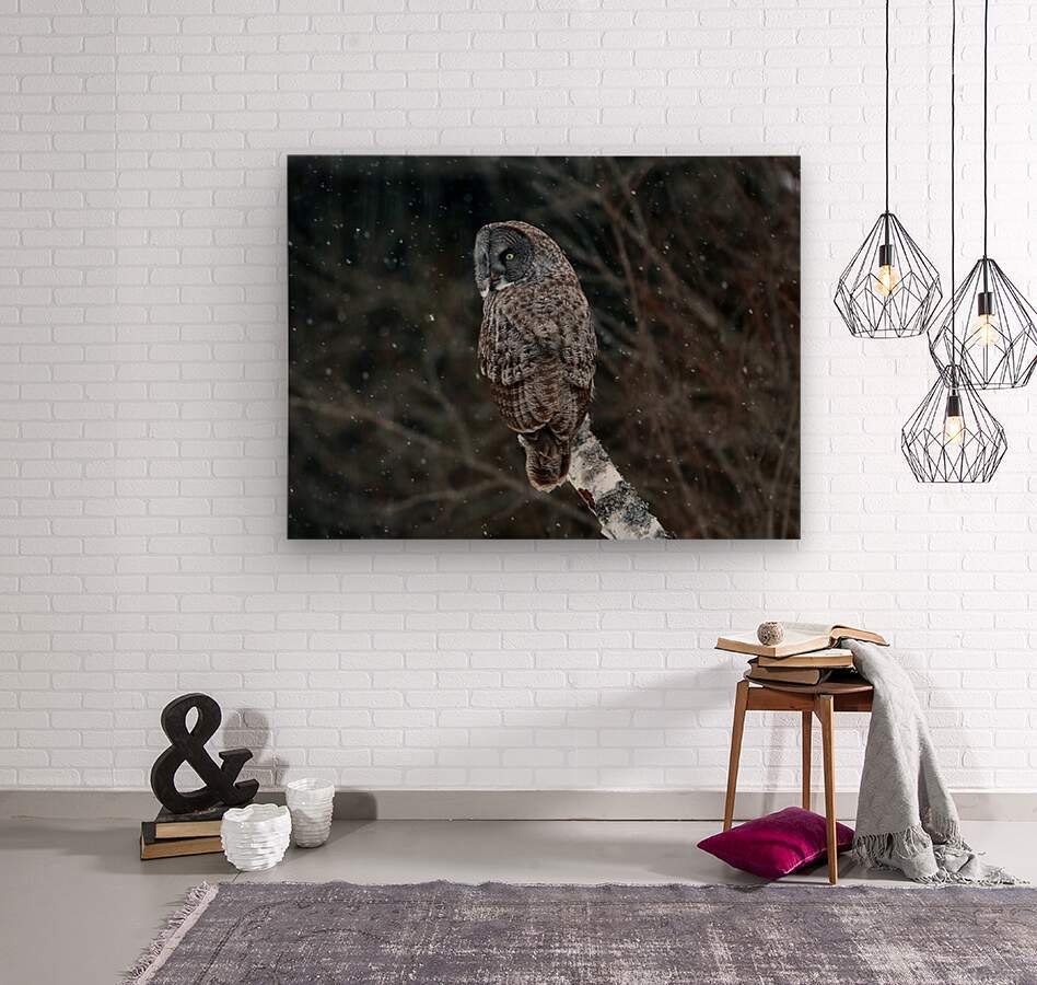2335585 :: Wood Print