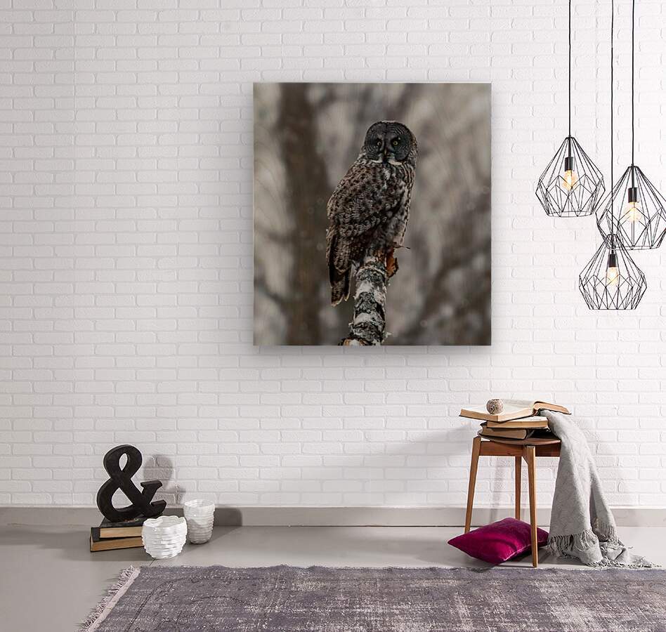 2335587 :: Wood Print