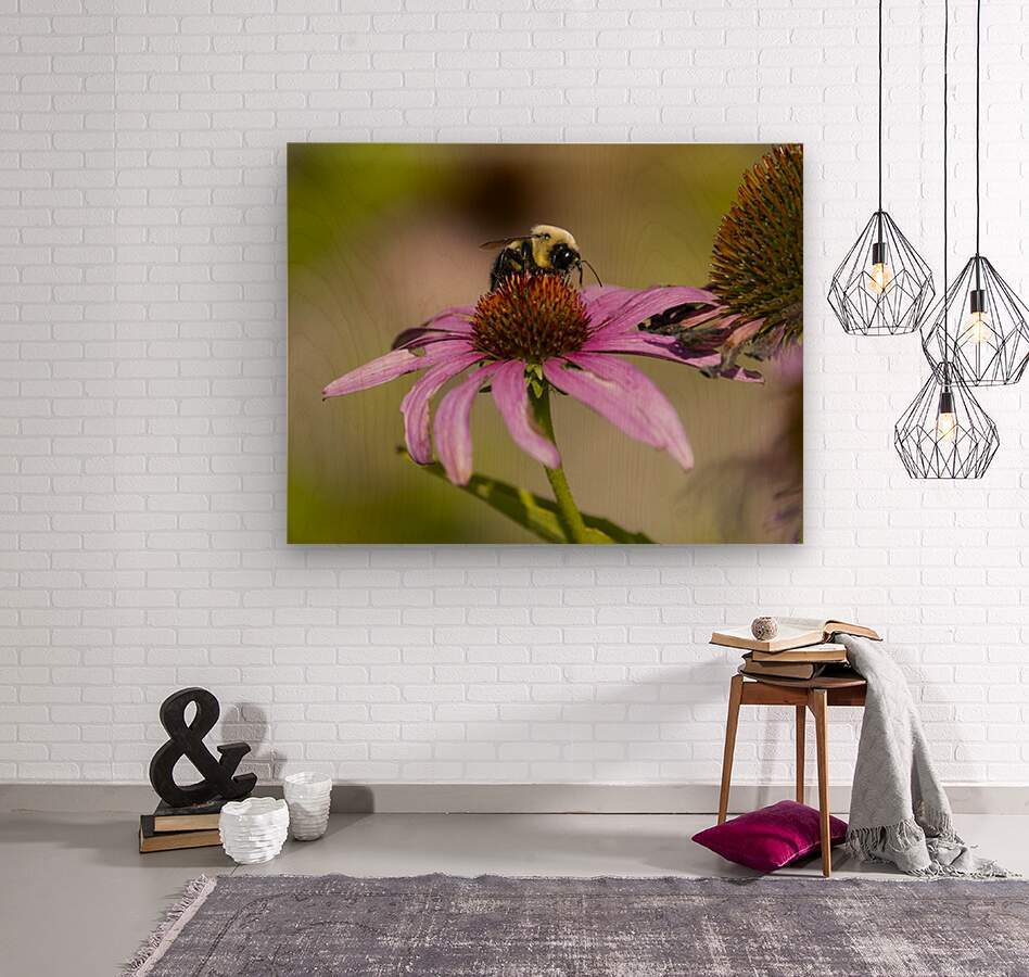 2335608 :: Wood Print