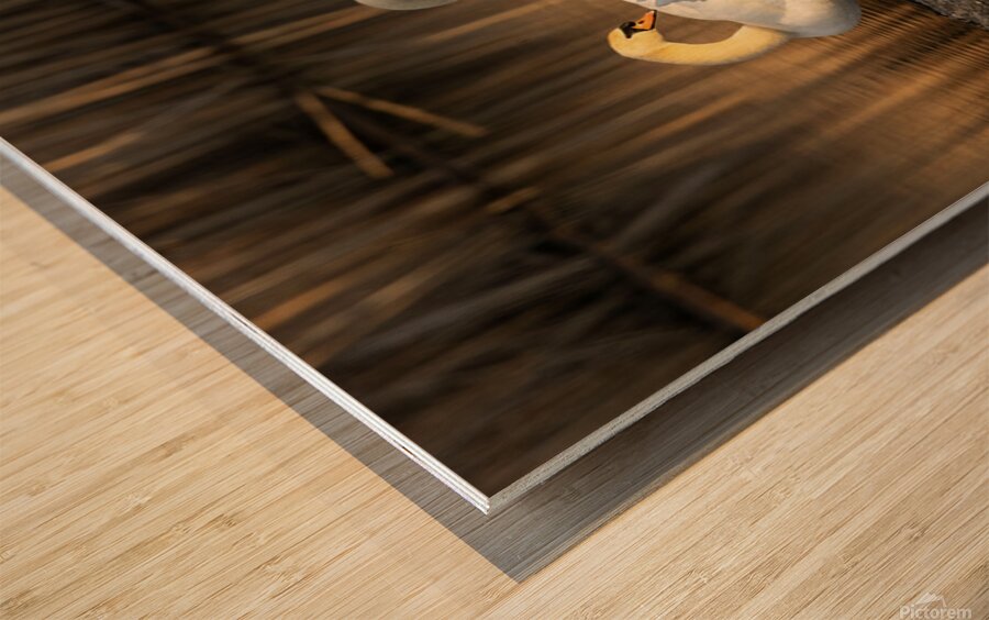 2331878 :: Wood Print