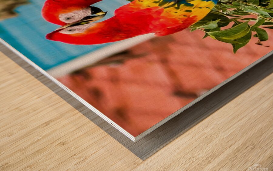2335583 :: Wood Print