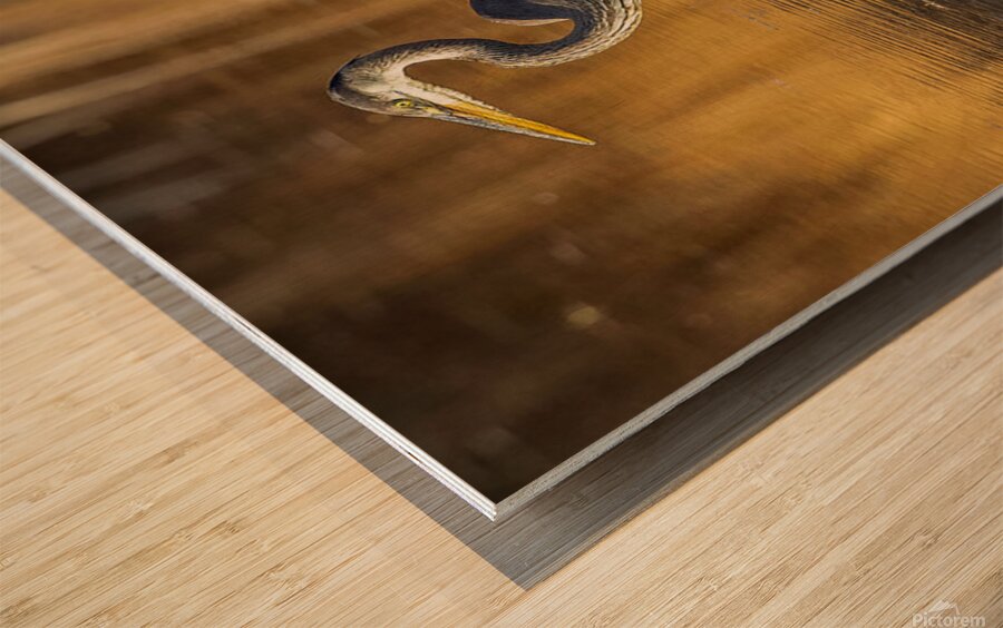 2335605 :: Wood Print
