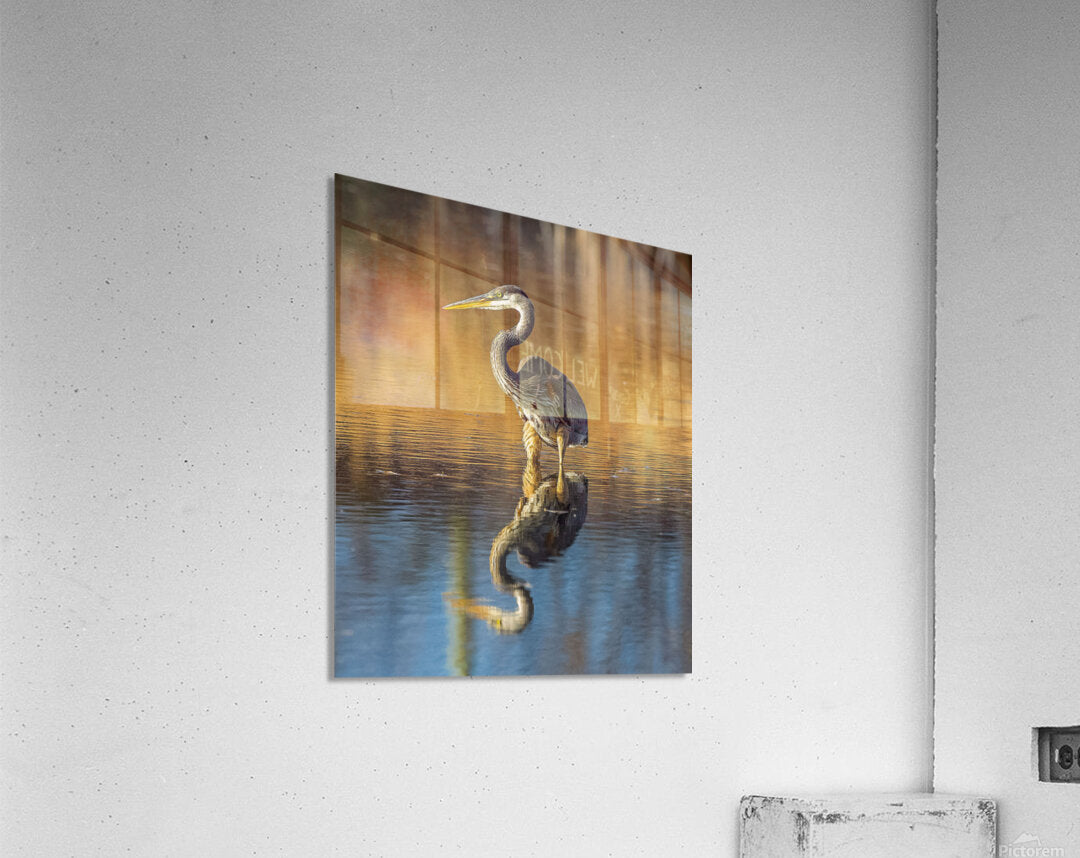 2335605 :: Acrylic Print