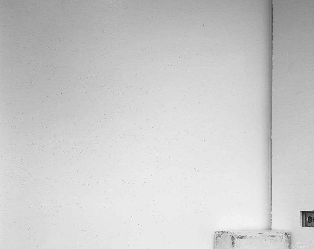 2335608 :: Acrylic Print