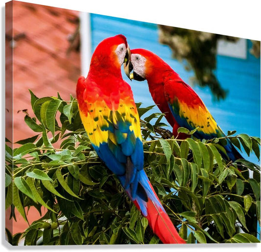 2335583 :: Giclée Stretched Canvas Print