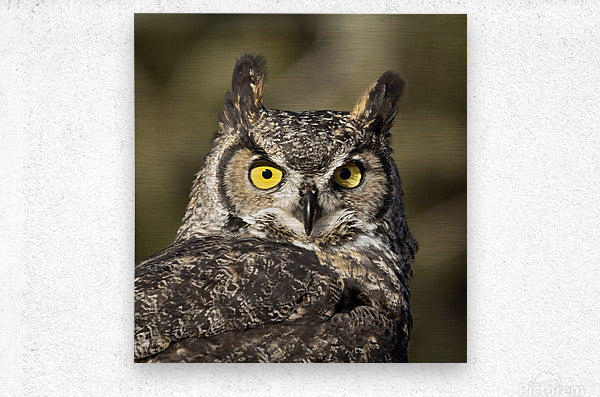 2335586 :: Brushed Metal Print