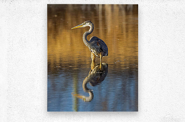 2335605 :: Brushed Metal Print