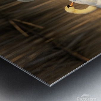 2331878 :: Brushed Metal Print