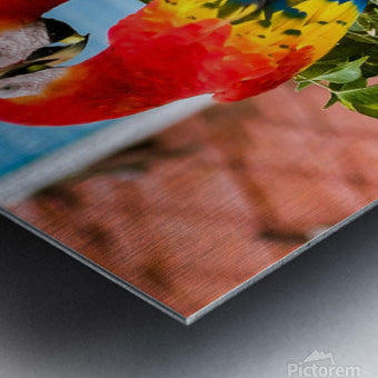 2335583 :: Brushed Metal Print
