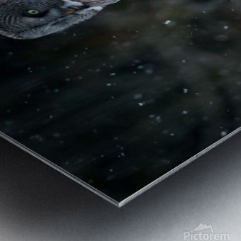 2335585 :: Brushed Metal Print