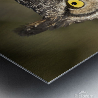 2335586 :: Brushed Metal Print