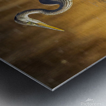 2335605 :: Brushed Metal Print