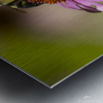 2335608 :: Brushed Metal Print