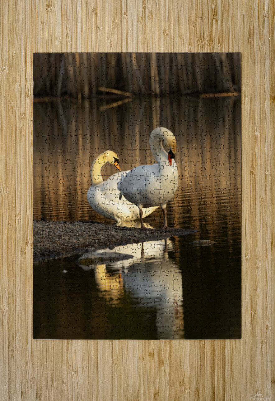 2331878 :: Puzzle Print