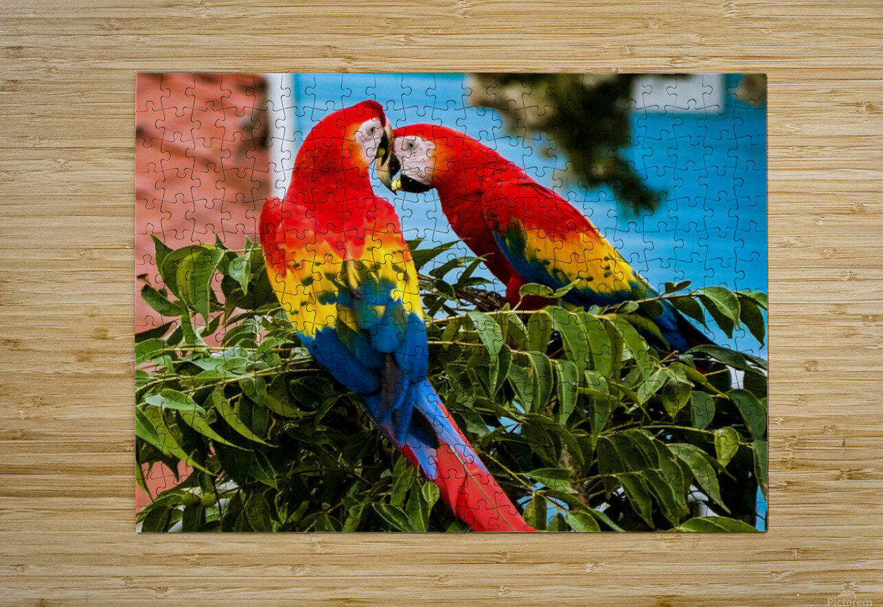 2335583 :: Puzzle Print