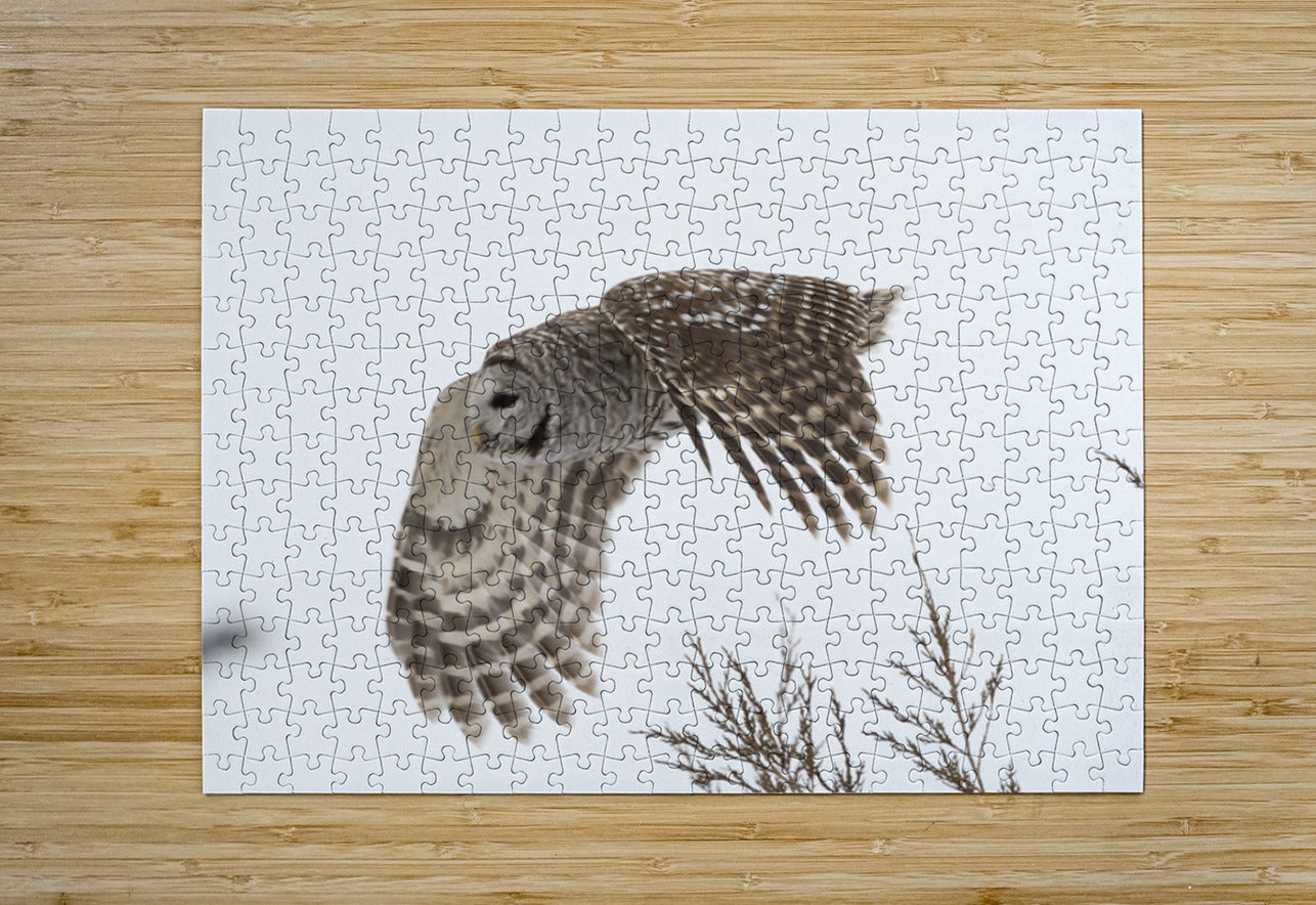 2335584 :: Puzzle Print