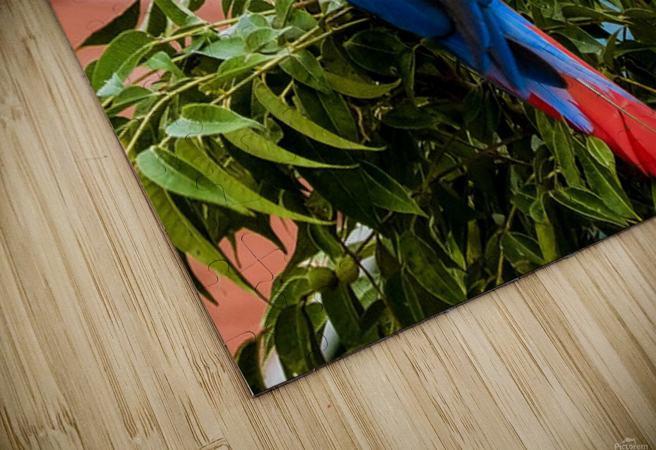 2335583 :: Puzzle Print