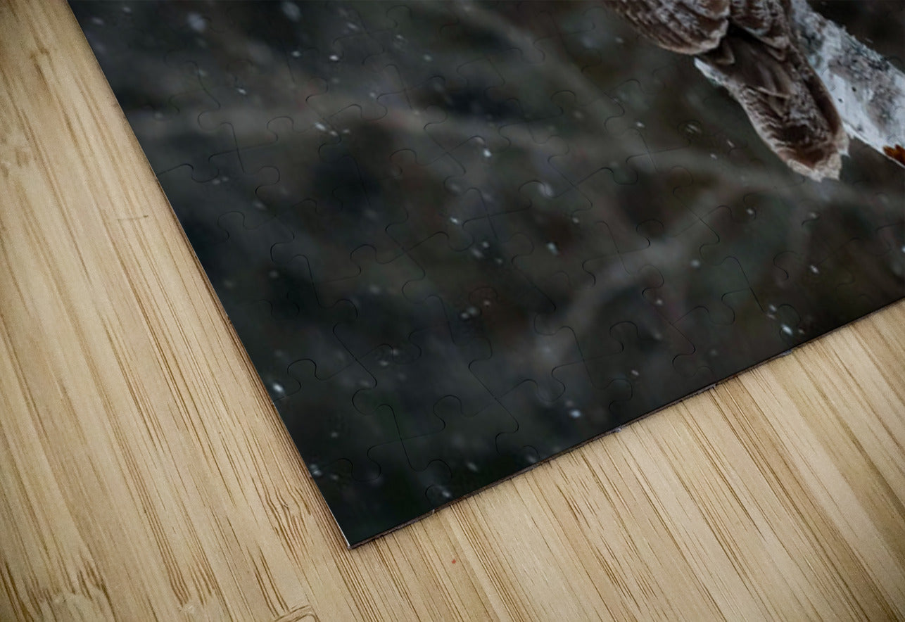 2335585 :: Puzzle Print