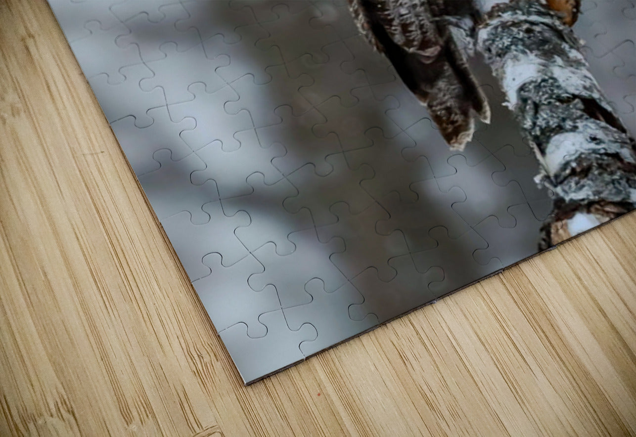2335587 :: Puzzle Print