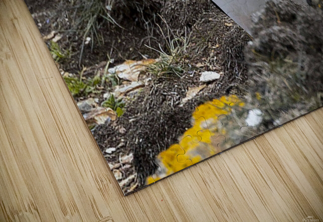 2335606 :: Puzzle Print