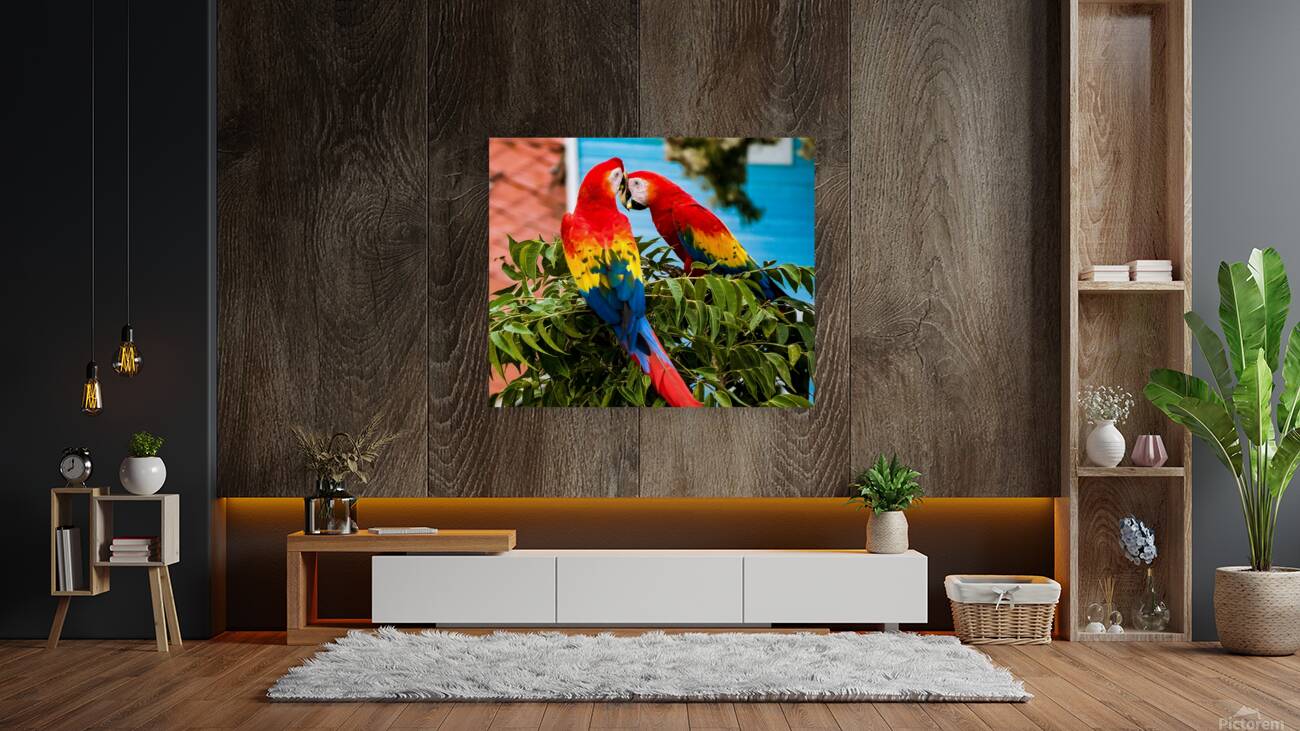 2335583 :: Giclée Stretched Canvas Print