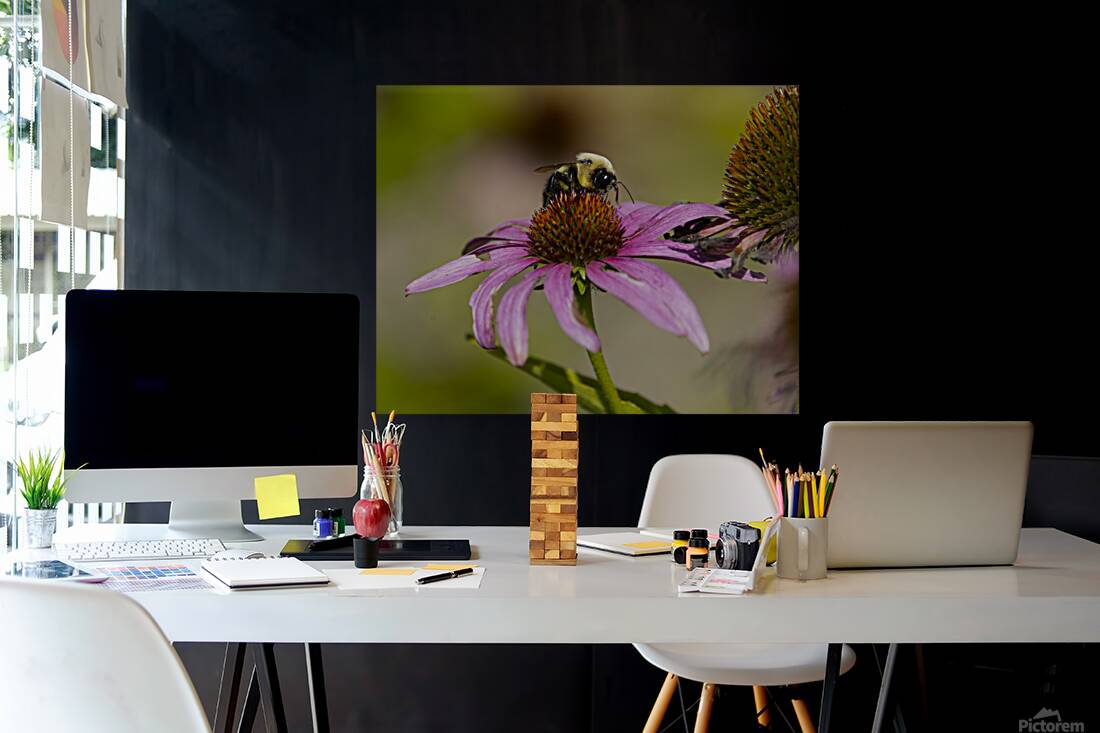 2335608 :: Giclée Stretched Canvas Print
