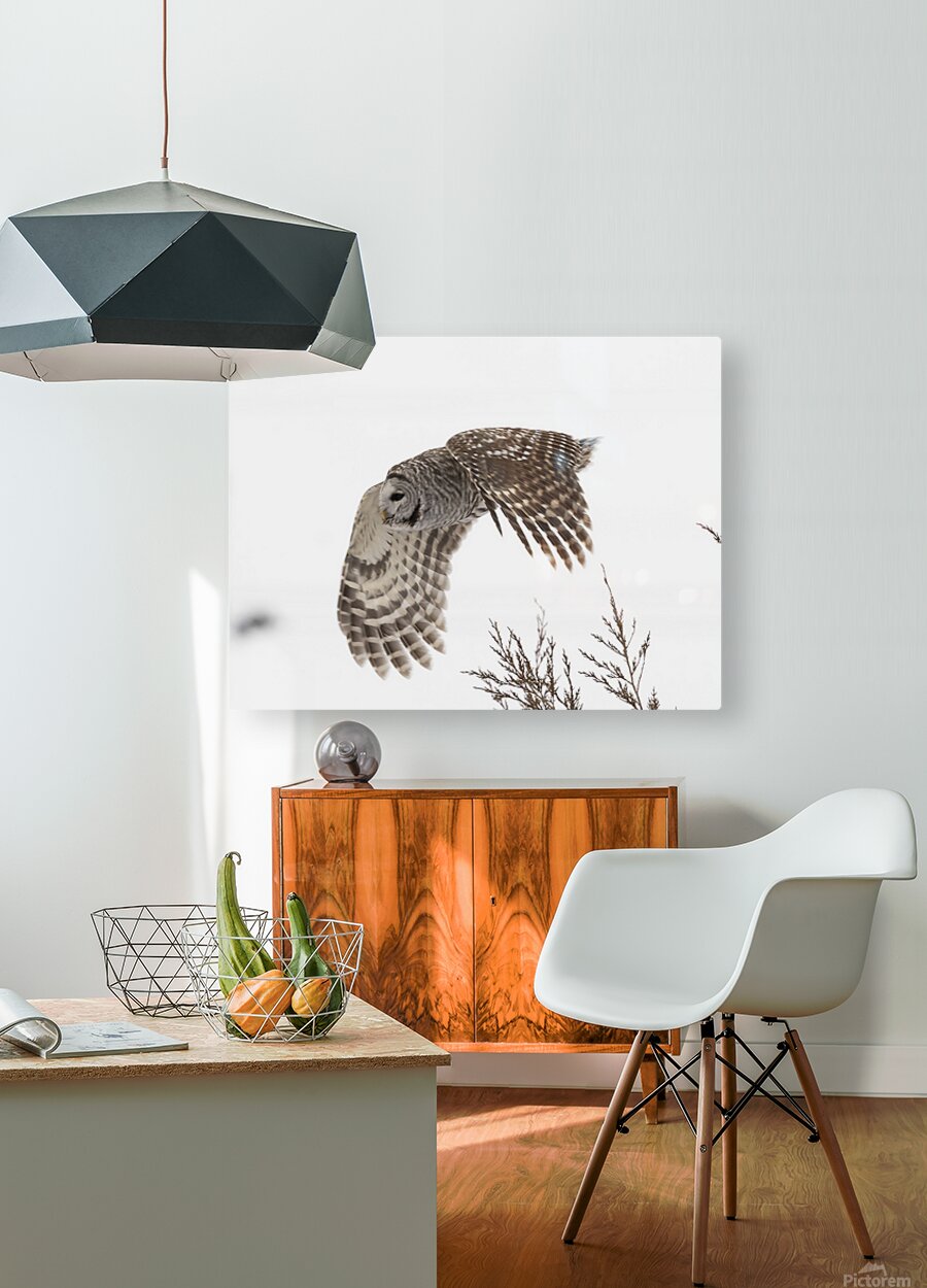 2335584 :: HD Sublimation Metal Print