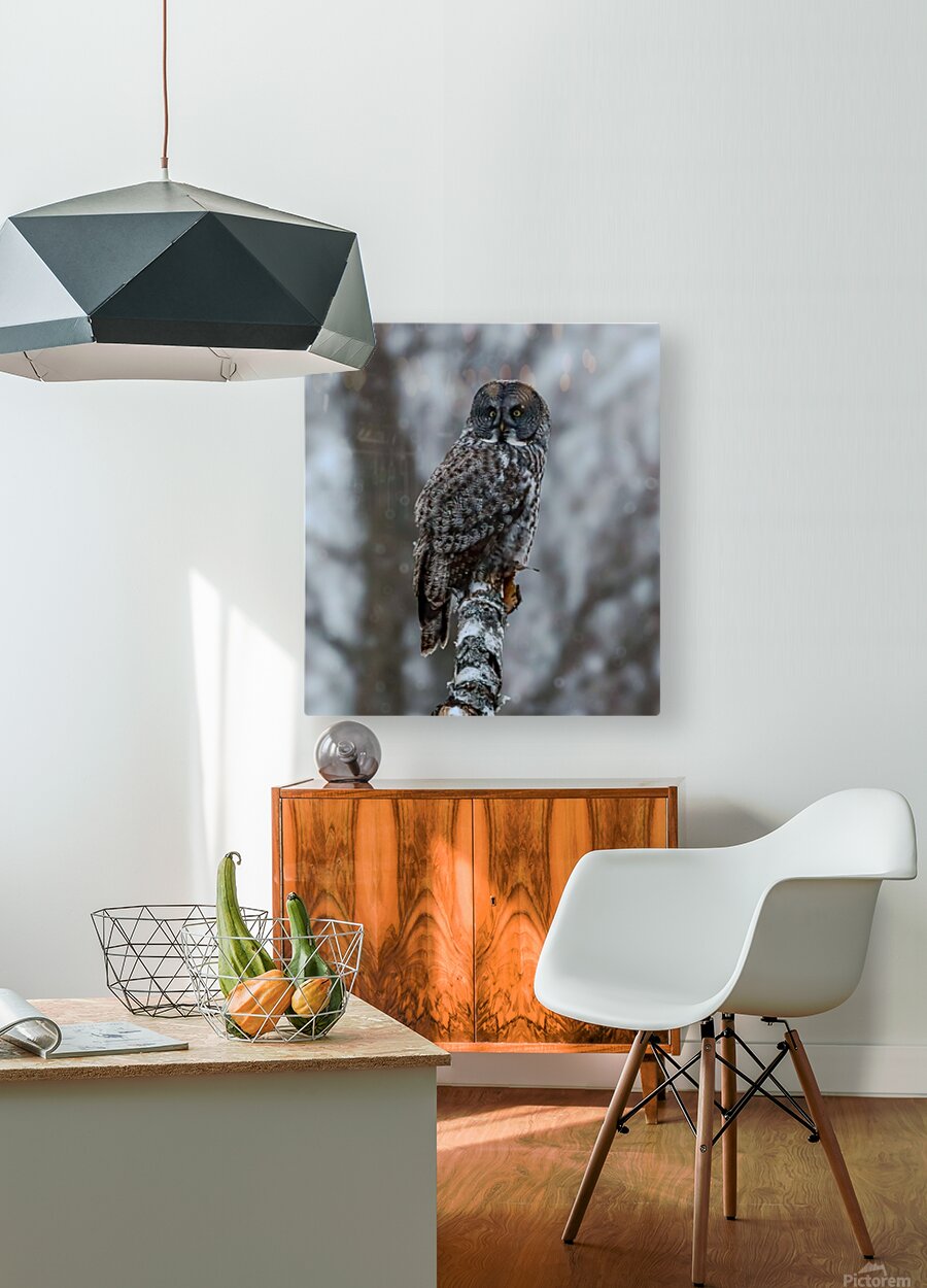 2335587 :: HD Sublimation Metal Print