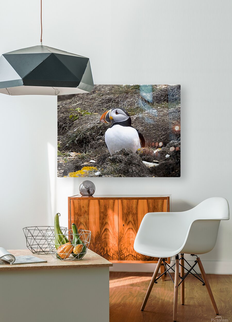 2335606 :: HD Sublimation Metal Print