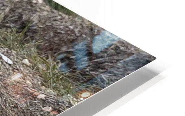 2335606 :: HD Sublimation Metal Print