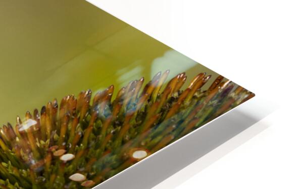 2335608 :: HD Sublimation Metal Print