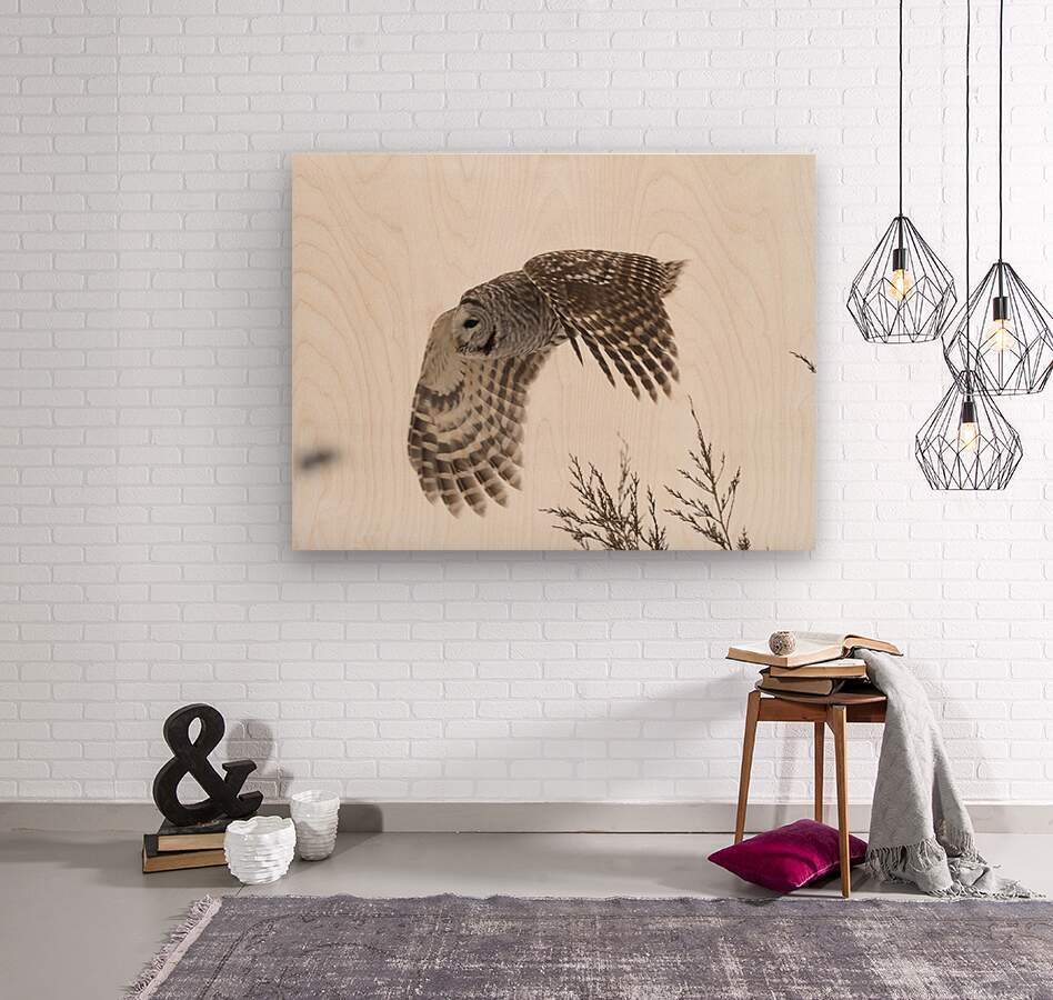 2335584 :: Wood Print
