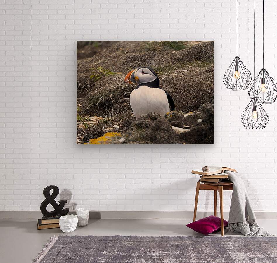 2335606 :: Wood Print