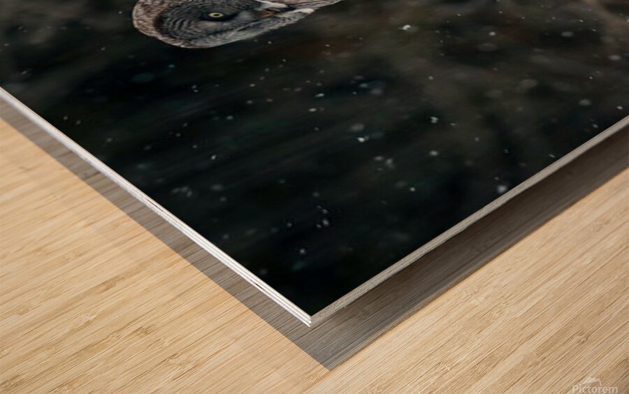 2335585 :: Wood Print