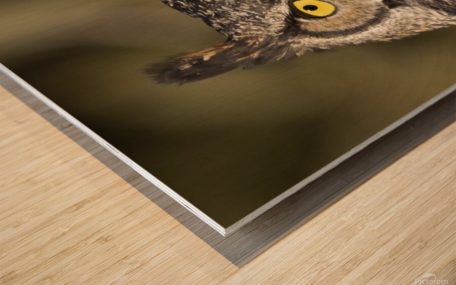 2335586 :: Wood Print