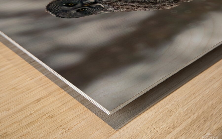 2335587 :: Wood Print