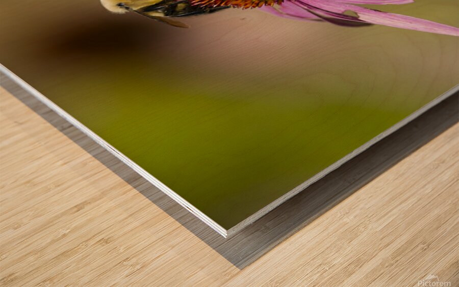 2335608 :: Wood Print
